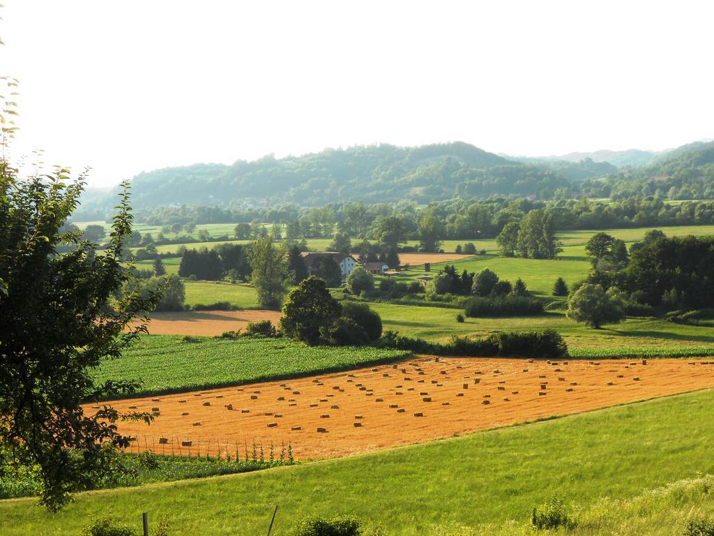 Farm Stay Kramer Bistrica ob Sotli Kültér fotó