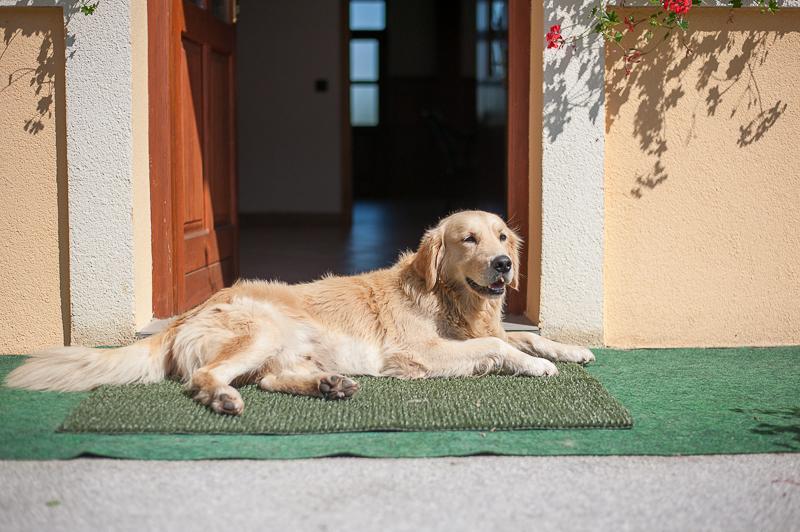 Farm Stay Kramer Bistrica ob Sotli Kültér fotó